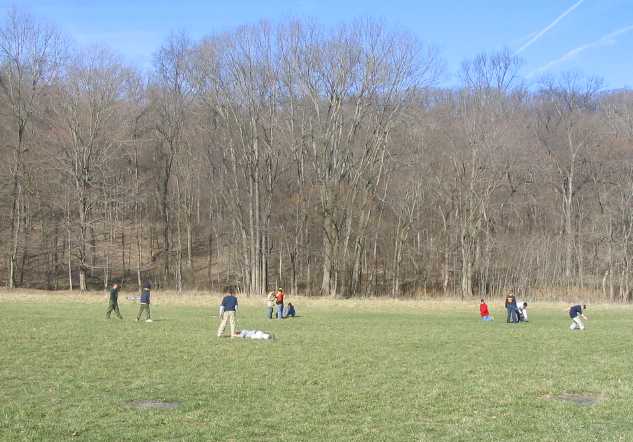 Scouts at play