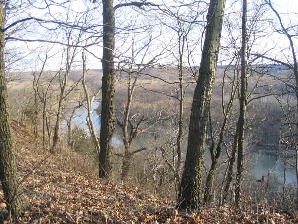 Meramec River through trees