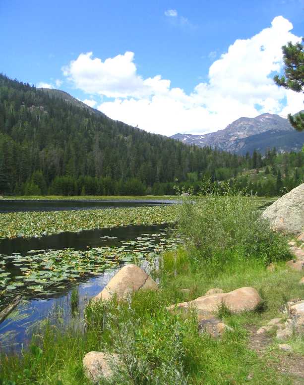 Cub Lake in Rocky Mountain National Park