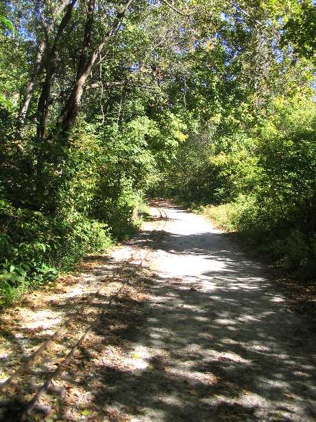 Shaded Trail