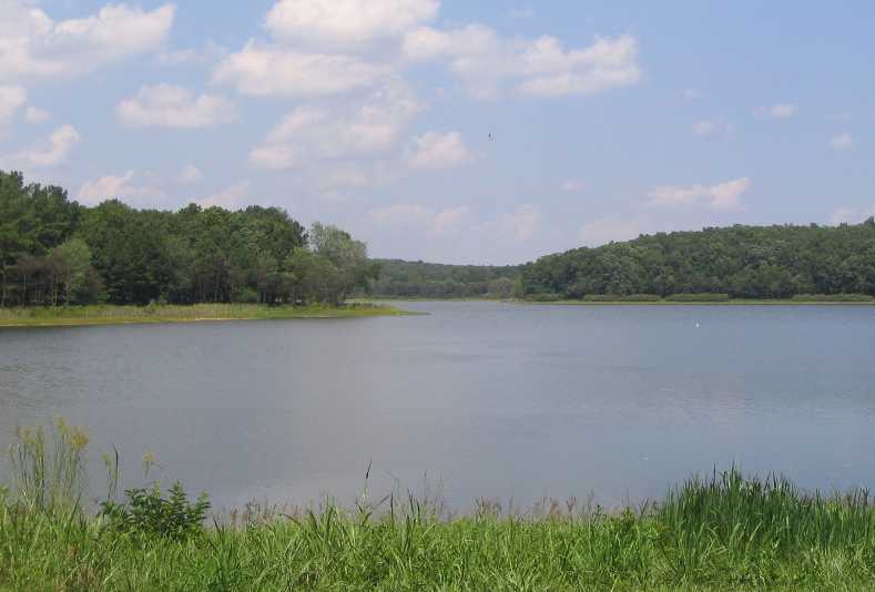 View of Nims Lake