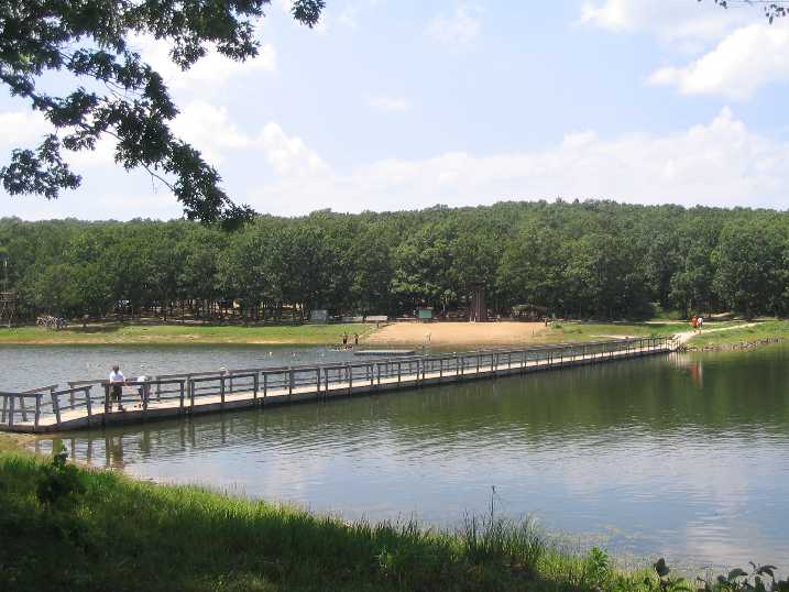 Bridge at Camp Sakima