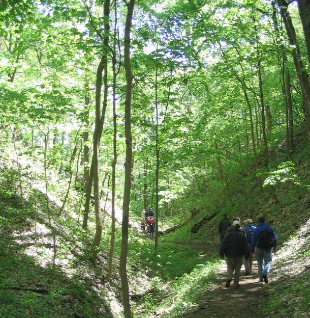 Ravine Trail