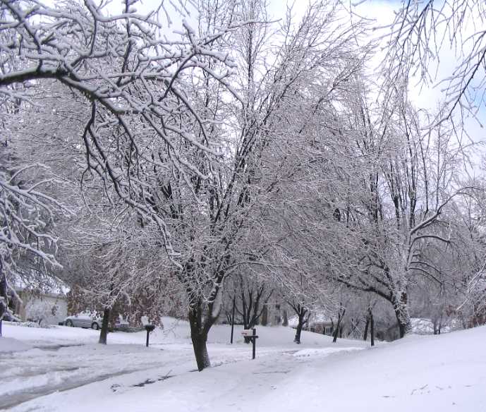 St. Louis Icestorm