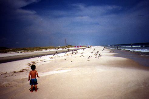 boy at the beach